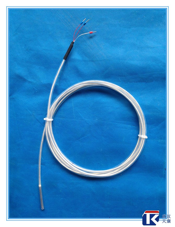 補償導線式防腐熱電阻/pt100防腐熱電阻